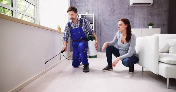 Best Residential Pest Control  in Westlake Vlage, IL